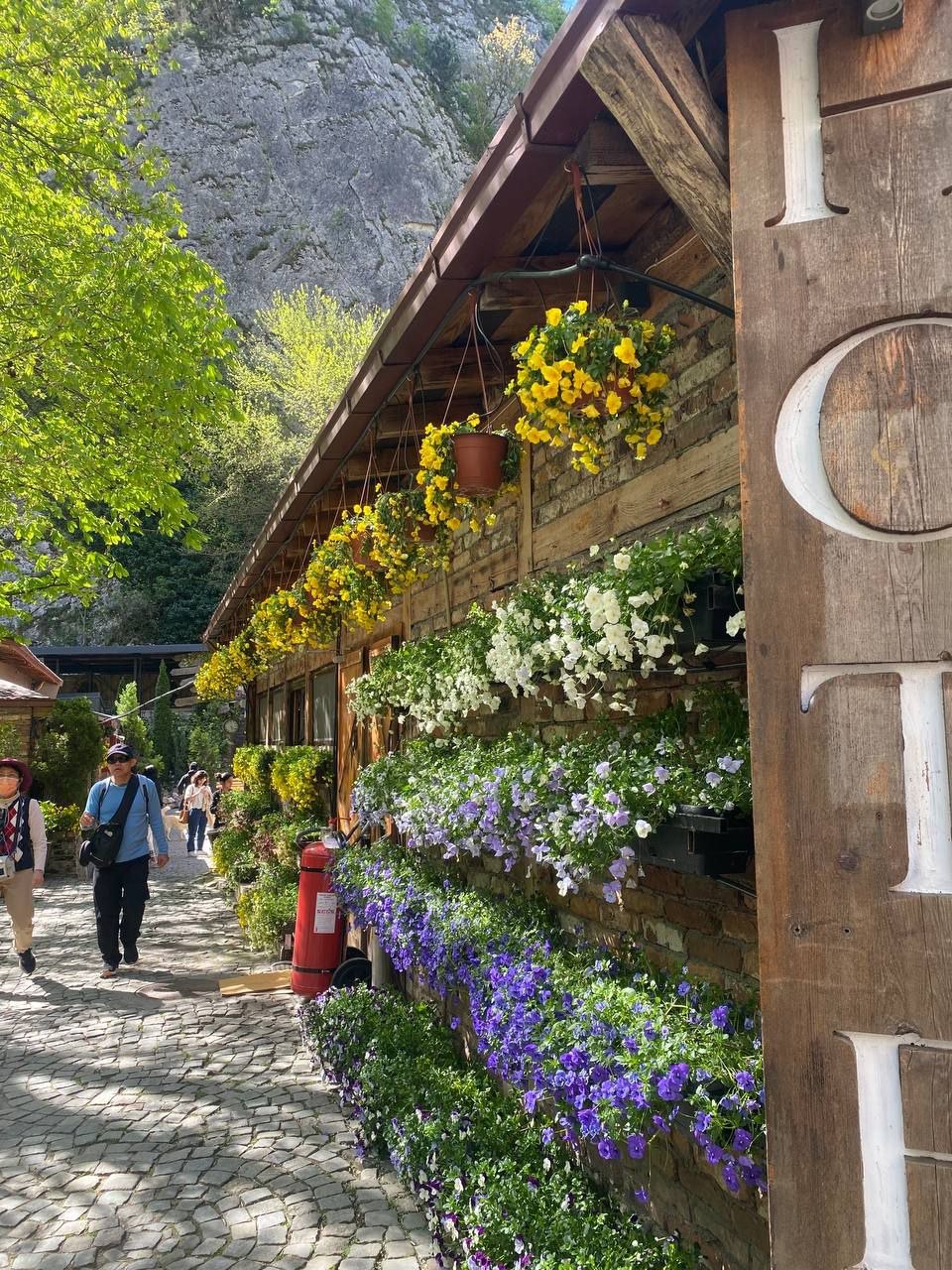Balkan