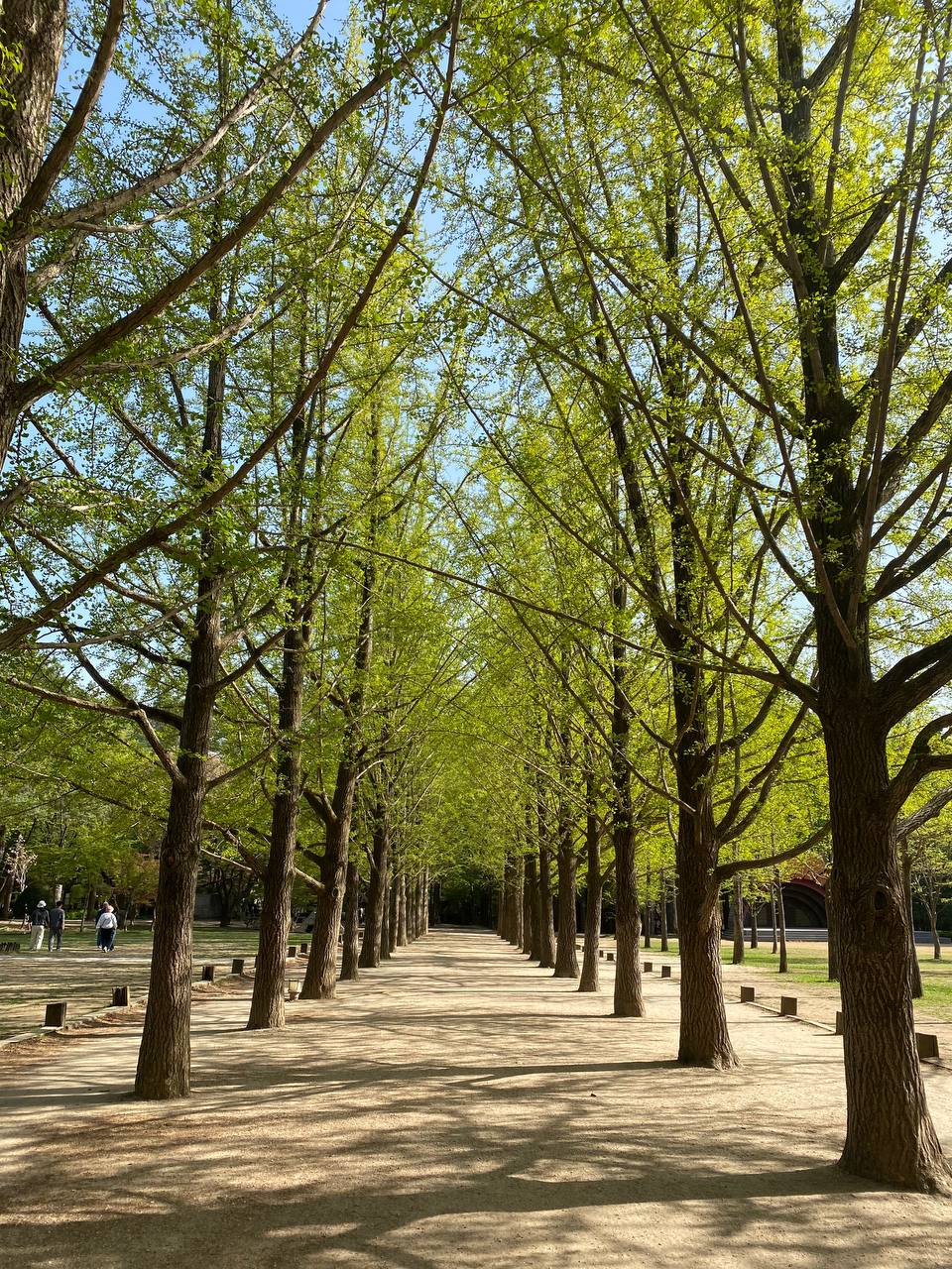 Korea (Seoul)
