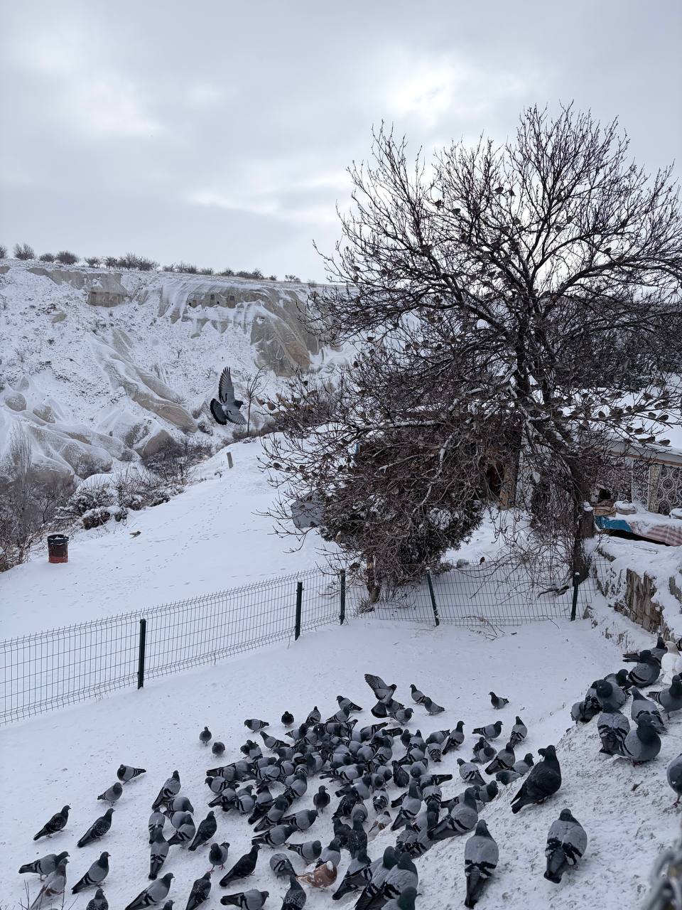 Turkiye